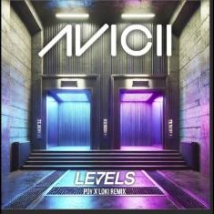 Levels 리믹스 커버